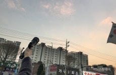 수원시, 떼까마귀 순찰반 편성..출몰 지역 순찰