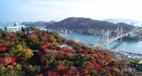 [포토]여수 자산공원 붉게 물든 단풍