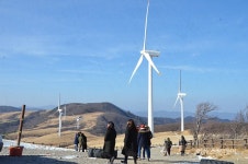 ‘하늘에 닿을 듯’…평창 대관령삼양목장