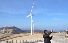 ‘하늘에 닿을 듯’…평창 대관령삼양목장