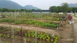 하남시, 시민 체험농장 분양