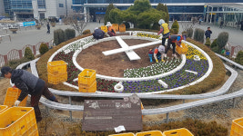 대전역 꽃시계 화사한 봄옷을 입다