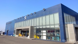 친환경 제주도에 디젤차로 역주행 하는 푸조·시트로엥