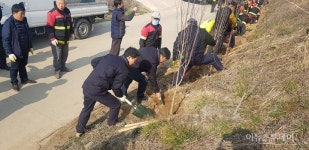 지강 양한묵 선생 고향 해남 옥천에 무궁화길 조성