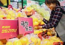 롯데마트 노은점, 당도 높은 햇참외 나왔어요