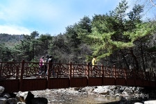 원주 치악산 둘레길 3개 코스 33.1km 개통