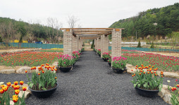 백두대간수목원, 레인보우 가든 신규 조성