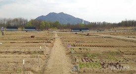 하남시, 시민 상자텃밭 분양보급