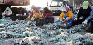 대게·참홍어·낙지·펄닭새우 등…6~11월 못잡는다