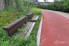 잡초만 무성…원주혁신도시둘레길 관리 ‘엉망’