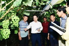 최형식 담양군수, 고서 포도농장 방문 현장 소통