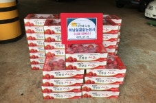 광산구 하남동 얼굴 없는 천사, 사과 50상자 9년째 기부