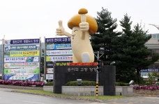 양양군, 송이조형물 14년 만에 교체