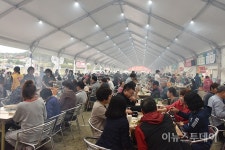 횡성한우축제 성황 폐막…한우 160마리 동나