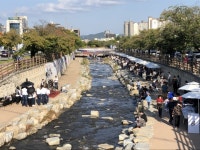 구미시, 청춘, 금오천 2.4km 성료