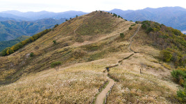 억새 물결 속으로…정선 민둥산 억새꽃 축제