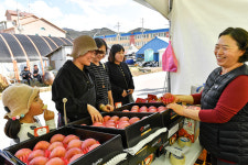 정선사과축제 성료…3만5000명 찾아 20억 매출