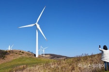 깊어가는 가을…평창 대관령 하늘목장