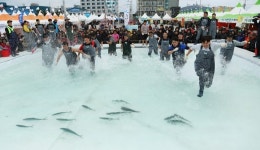 [주말e여행] 연말연차 소진으로 제주도 가면 지금 딱 좋아 7