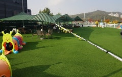 용인시, A반려견 놀이터···농지 불법전용 덜미