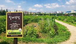 성남시, 시민공원 내 실버텃밭 2500명에 무료분양