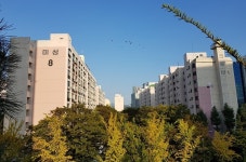 분양가 상한제 시행 코앞…차라리 후분양 하자는 강남 재건축