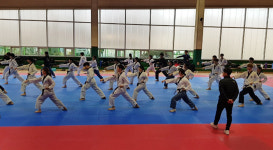 올림픽 도시 평창군, 태권도 전지훈련지로 주목