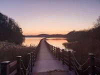 경북도, 즐거운 명절, 경북의 산림에서 힐링하세요