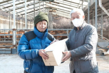 횡성축협, 조합원에 마스크 4000매 배부