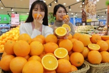 [포토] 캘리포니아 햇오렌지 박스 1만2800원 싸요♥