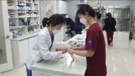 인천 계양구, 유기동물 입양 지원금 인상