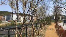 용인시, 마평동 양지천 일대 유휴지 정비…주민휴식공간 탄생