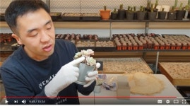 경기도농기원,  DIY 온라인 농업체험 프로그램 운영