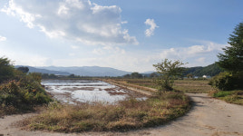 홍천군, 서석 검산지구에 홉 테마 관광개발 사업 추진