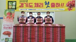 경기농협, 송산농협서 경기도 체리 첫 출하식가져