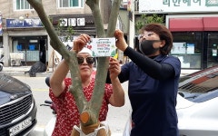 수원시의회 김미경 위원장, 동말·화양로 배롱나무 가로수길 조성 현장 찾아