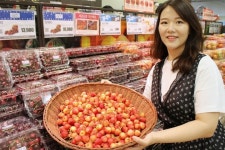 롯데마트, 황금당도 스카이라레 체리 전점에서 판매