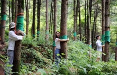 산림복지진흥원, 특별 문화·체험프로그램 제공