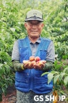 GS샵, 20일 '달달마켓X산지애 복숭아 3종' 판매 방송