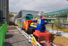 대전교통문화연수원 순차적 교육재개