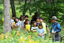 '별‧바람‧꽃‧고한'…정선 함백산 야생화축제 8일 개막