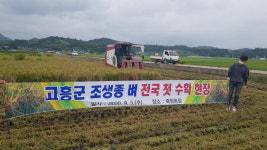 고흥 죽암농장, 전국최초 조생종 벼 이앙 후 122일만에 수확