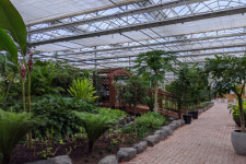 고성군, 생활원예 활성화 초석 공기정화식물원 시범 운영