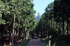 장흥 우드랜드, 3회 연속 추천 웰니스 관광지 선정