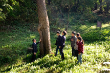 평창군, 산지 활용 임대농장 산림 텃밭 4ha 조성