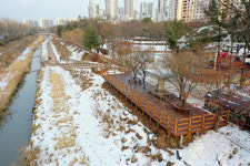 과천시, 중앙공원에 시민 휴게공간 자전거플랫폼 설치