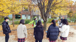 숲해설 등 숲 체험·탐방 산림교육 프로그램 운영