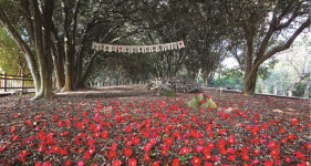 여수시, 오동도-여수세계박람회장 한국관광 100선 연속 선정