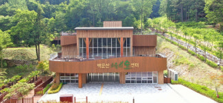 전남도, 숲속 산림휴양치유 기반 구축