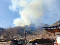 연탄재 투기 추정, 강원 삼척 산불 진화